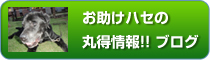 お助けハセ ブログ